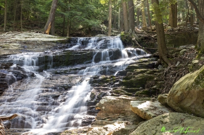 Abbey Pond Trail 2024
